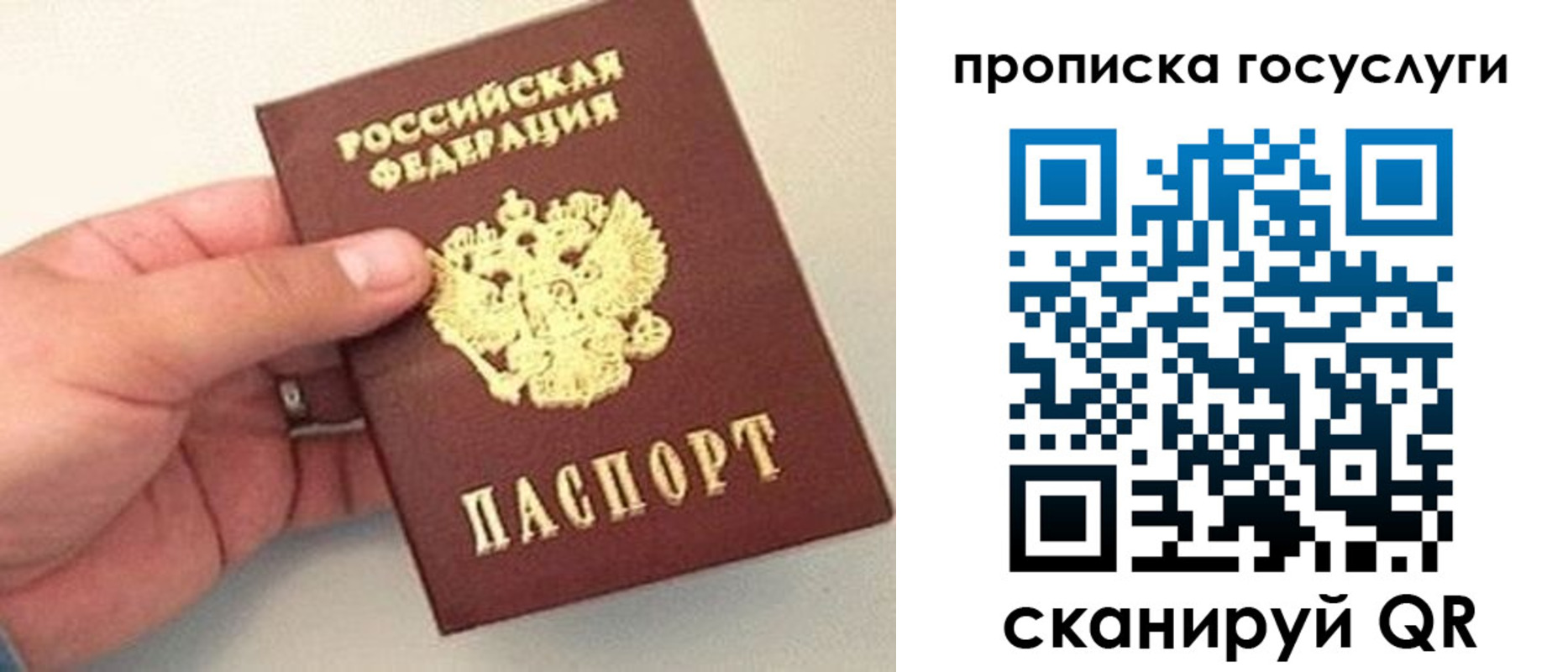 где прописаться в Грязовце